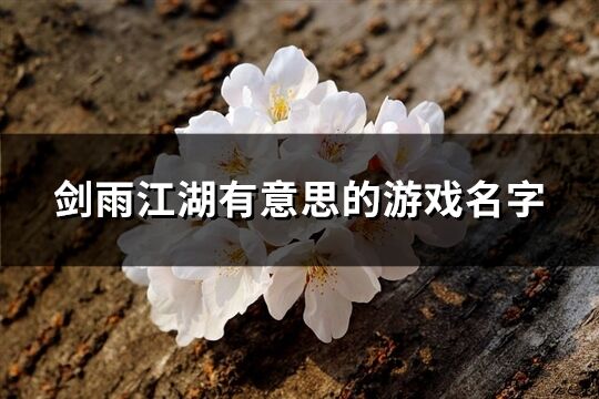 剑雨江湖有意思的游戏名字(共173个)