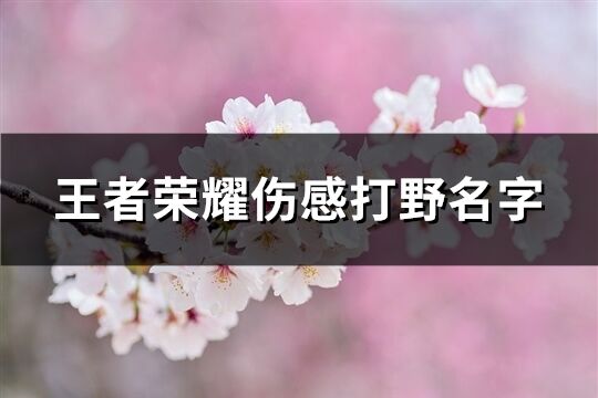 王者荣耀伤感打野名字(共199个)