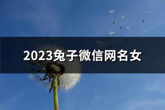 2023兔子微信网名女(117个)