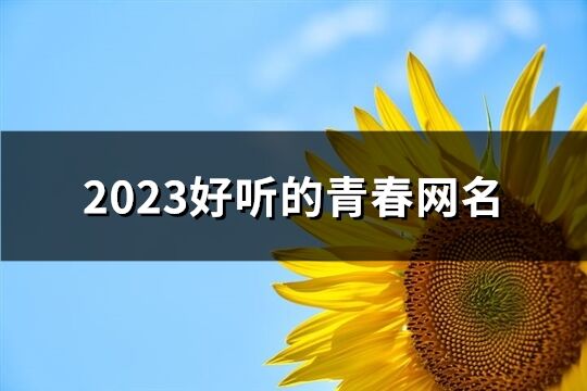 2023好听的青春网名(共701个)