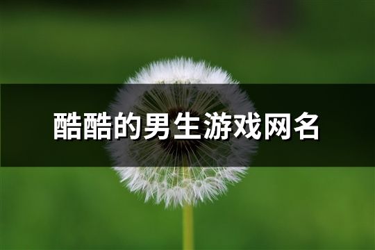 酷酷的男生游戏网名(精选138个)