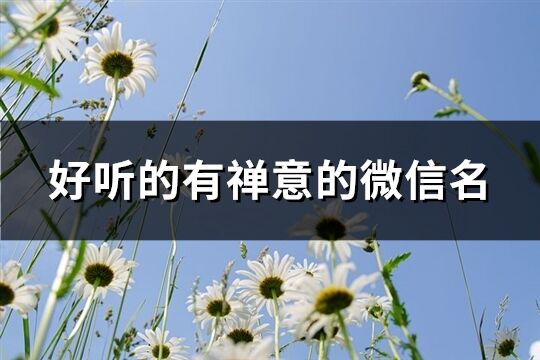 好听的有禅意的微信名(共441个)