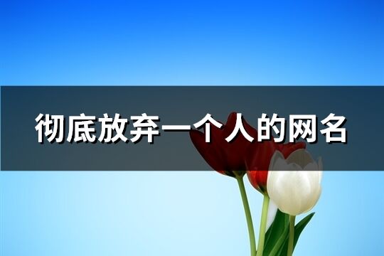 彻底放弃一个人的网名(共445个)