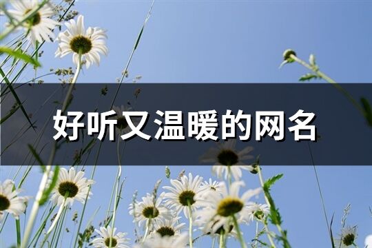 好听又温暖的网名(共818个)