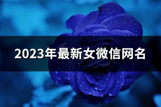 2023年最新女微信网名(共1483个)