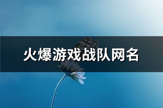 火爆游戏战队网名(共218个)