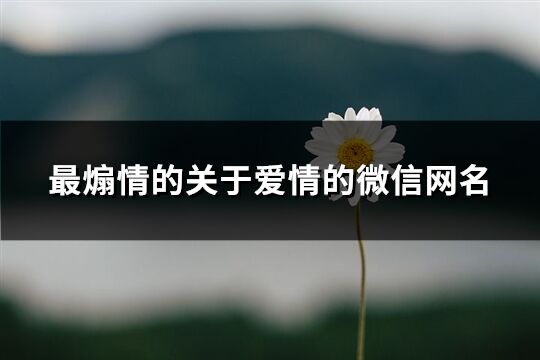 最煽情的关于爱情的微信网名(共286个)