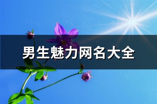 男生魅力网名大全(共60个)