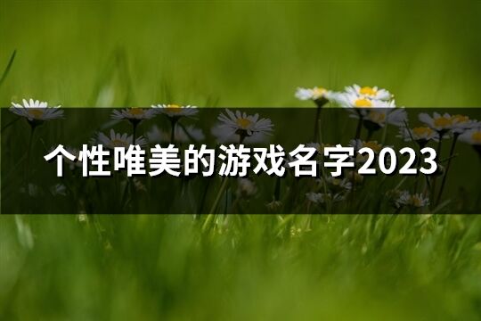 个性唯美的游戏名字2023(共59个)