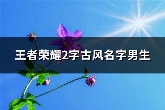 王者荣耀2字古风名字男生(共57个)