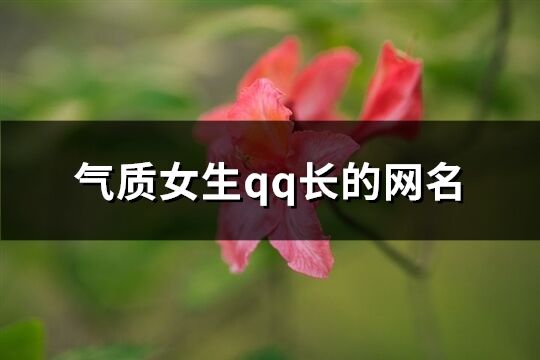 气质女生qq长的网名(431个)