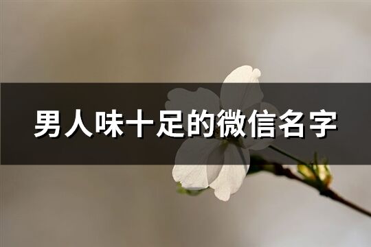 男人味十足的微信名字(536个)