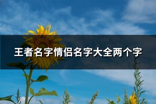 王者名字情侣名字大全两个字(173个)