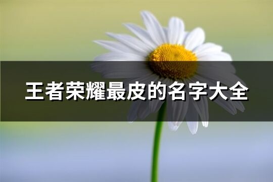 王者荣耀最皮的名字大全(共273个)