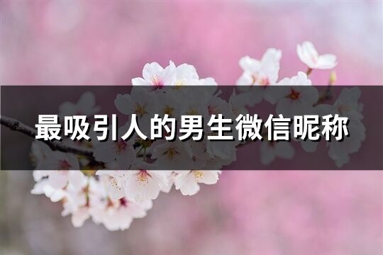 最吸引人的男生微信昵称(精选308个)