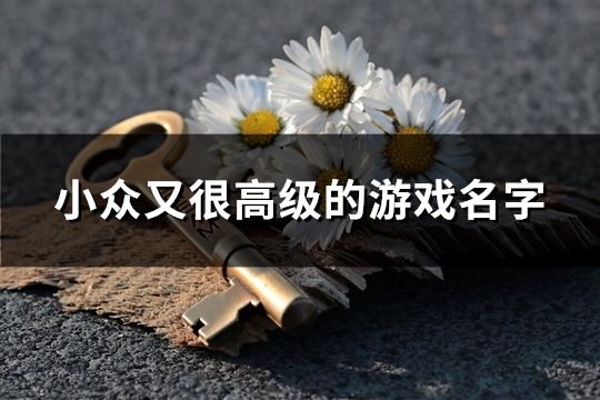 小众又很高级的游戏名字(共341个)