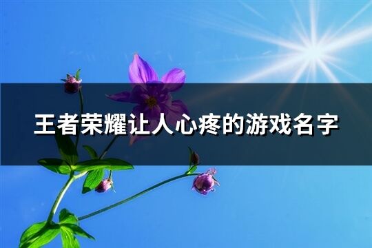 王者荣耀让人心疼的游戏名字(306个)