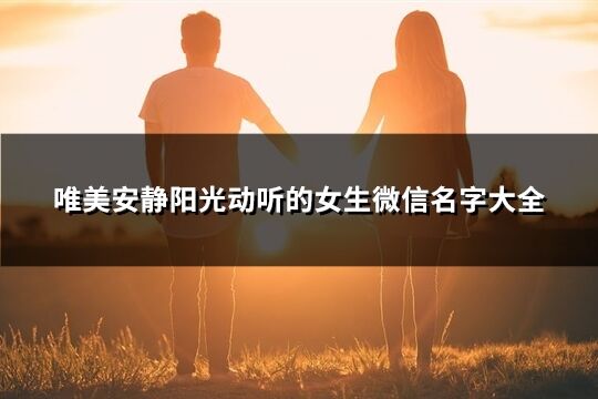 唯美安静阳光动听的女生微信名字大全(精选309个)