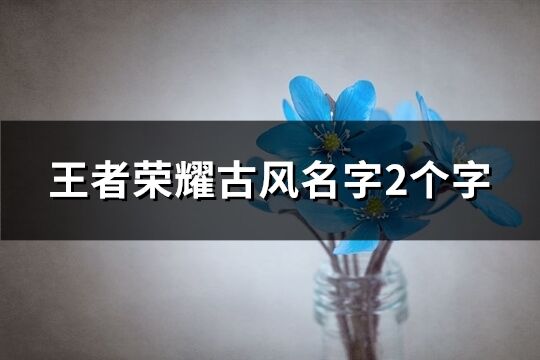 王者荣耀古风名字2个字(共454个)