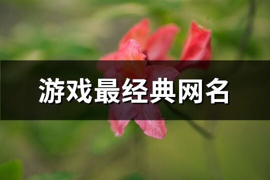 游戏最经典网名(共323个)