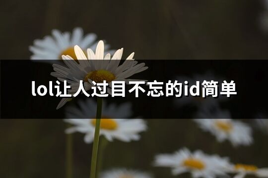 lol让人过目不忘的id简单(精选97个)