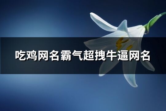 吃鸡网名霸气超拽牛逼网名(344个)