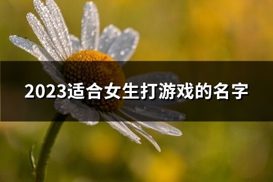 2023适合女生打游戏的名字(共1459个)