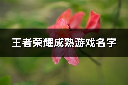 王者荣耀成熟游戏名字(精选604个)