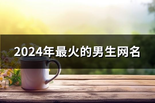 2024年最火的男生网名(共146个)