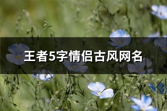 王者5字情侣古风网名(44个)