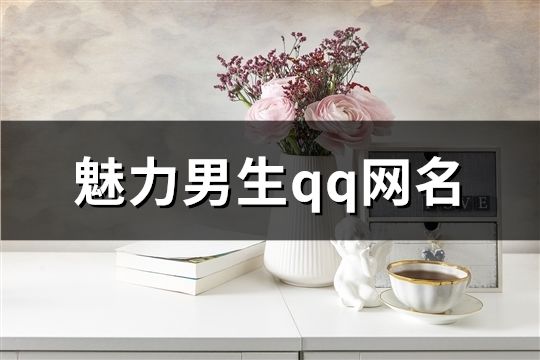 魅力男生qq网名(共60个)