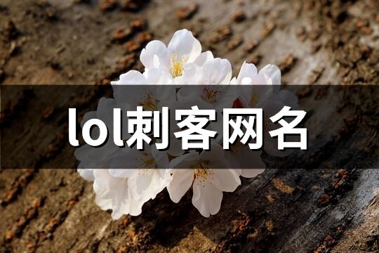 lol刺客网名(精选446个)