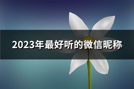 2023年最好听的微信昵称(优选913个)