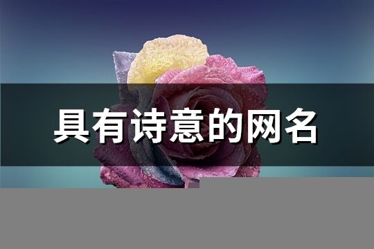 具有诗意的网名(共611个)