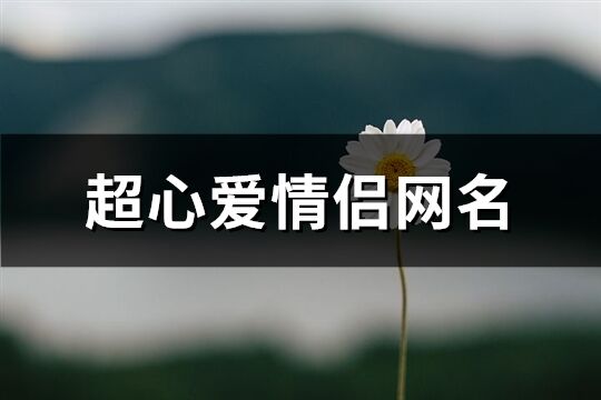 超心爱情侣网名(131个)