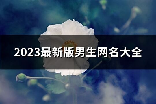 2023最新版男生网名大全(优选770个)