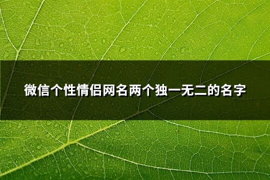 微信个性情侣网名两个独一无二的名字(537个)