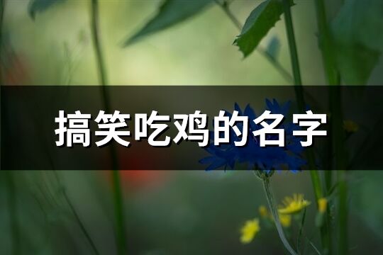 搞笑吃鸡的名字(共290个)