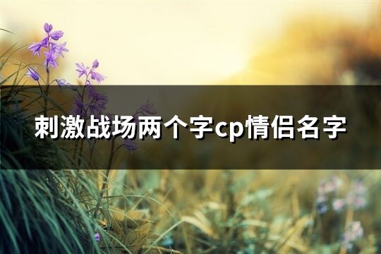 刺激战场两个字cp情侣名字(共93个)