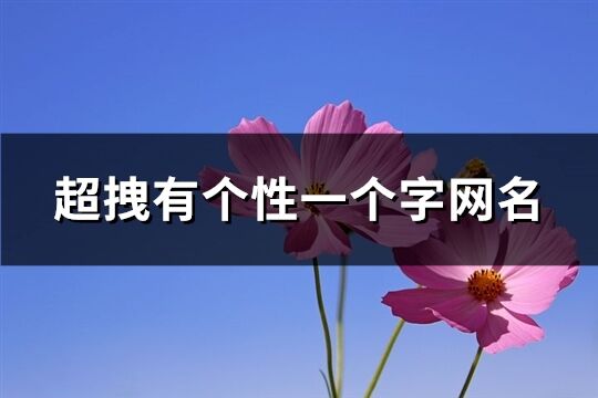 超拽有个性一个字网名(优选130个)