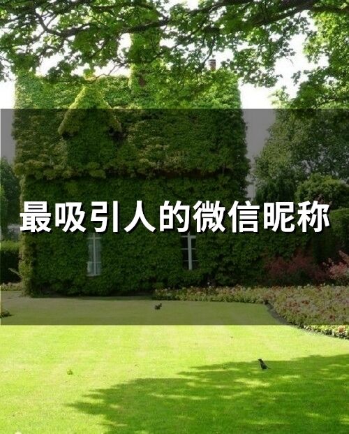 最吸引人的微信昵称(精选66个)