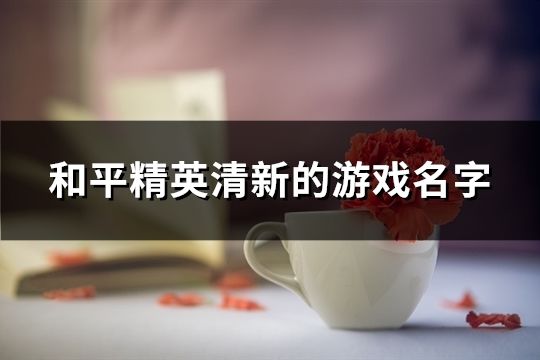 和平精英清新的游戏名字(精选76个)