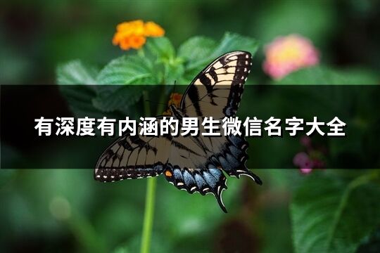 有深度有内涵的男生微信名字大全(449个)