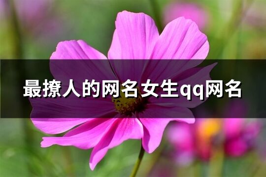 最撩人的网名女生qq网名(276个)