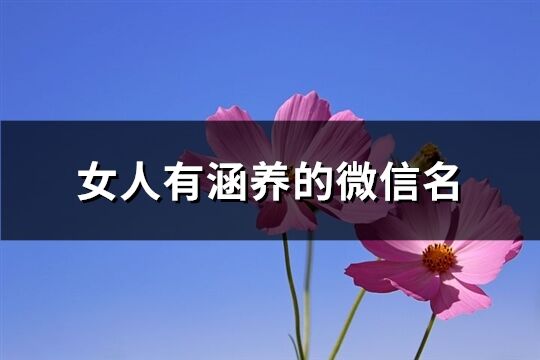 女人有涵养的微信名(共116个)