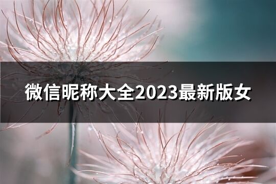 微信昵称大全2023最新版女(1478个)