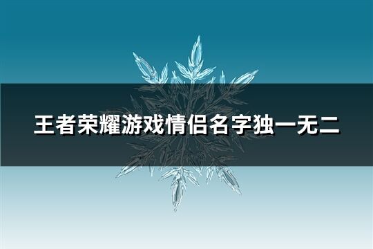 王者荣耀游戏情侣名字独一无二(共140个)