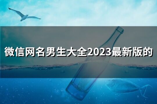 微信网名男生大全2023最新版的(共147个)