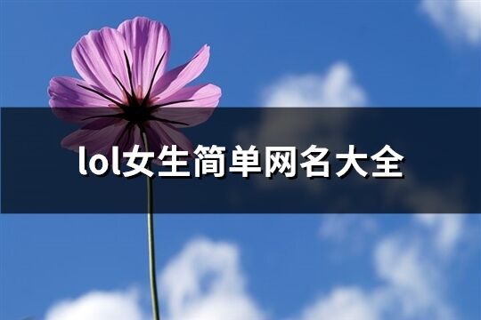 lol女生简单网名大全(277个)