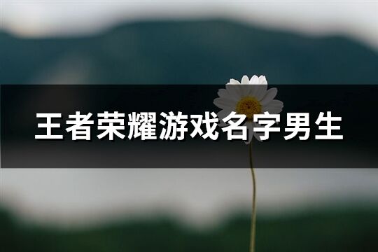 王者荣耀游戏名字男生(251个)